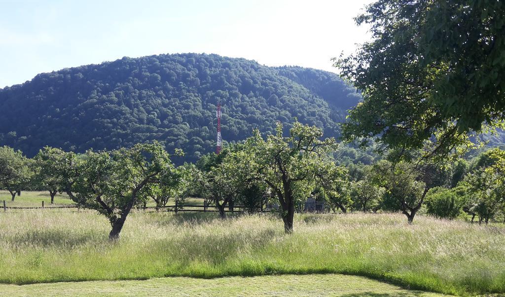 Pensiunea Din Livada Bran  Exterior foto